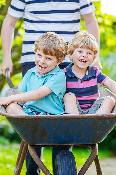 istock Two little boys having fun in wheelbarrow pushing by father 485262720