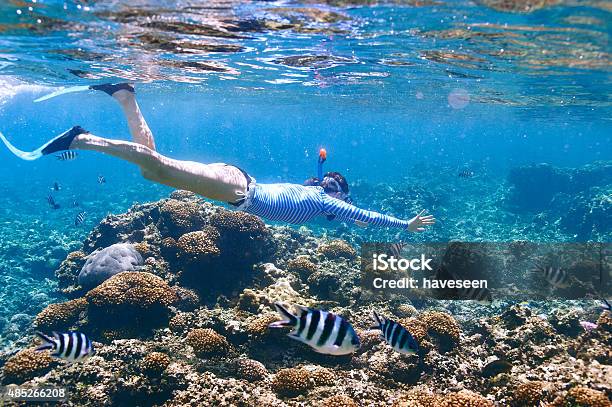 Woman With Mask Snorkeling Stock Photo - Download Image Now - Seychelles, Snorkel, Snorkeling