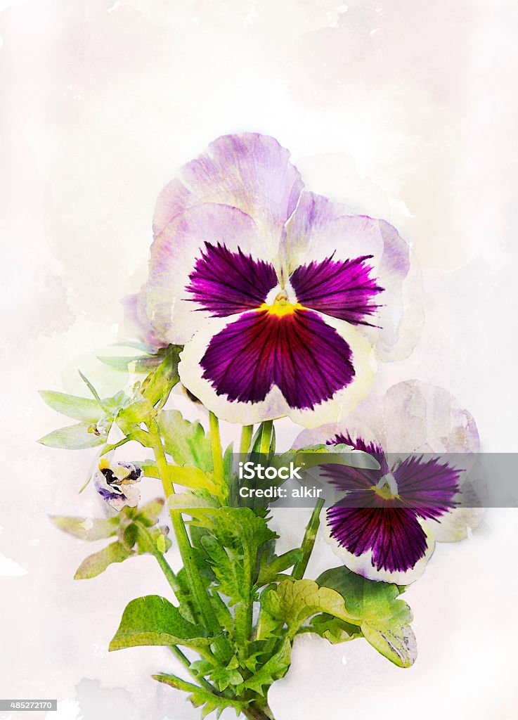 Ilustración de Watercolor Violeta Pensamiento Viola Tricolor y más Vectores  Libres de Derechos de Pensamiento - Flor - Pensamiento - Flor, Pintura -  Producto artístico, 2015 - iStock