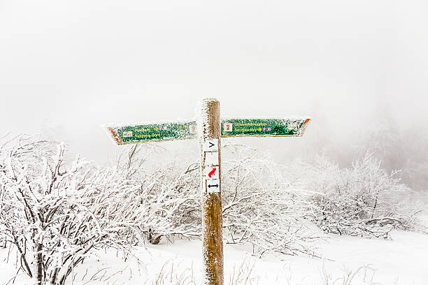 Schmitten, Germany - January 4, 2015:  post with signs for orientation and distances in snow blizzard at the summit of  the Feldberg in Hesse. The Feldberg is the most visited winter recreation area in Hesse with a high of 878 meters.