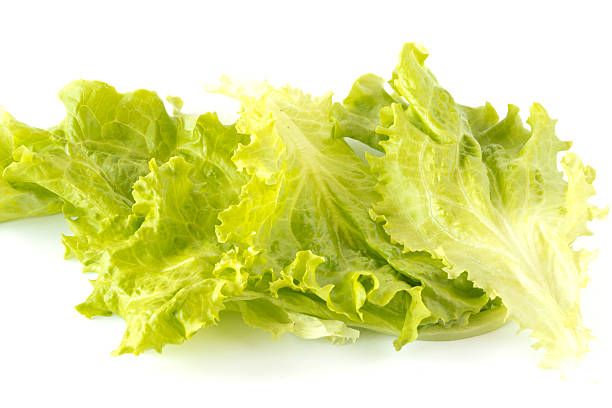 istock Leaves of green salad 485275648