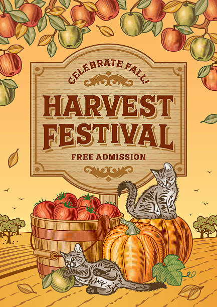 illustrazioni stock, clip art, cartoni animati e icone di tendenza di harvest festival poster - campo di pomodori