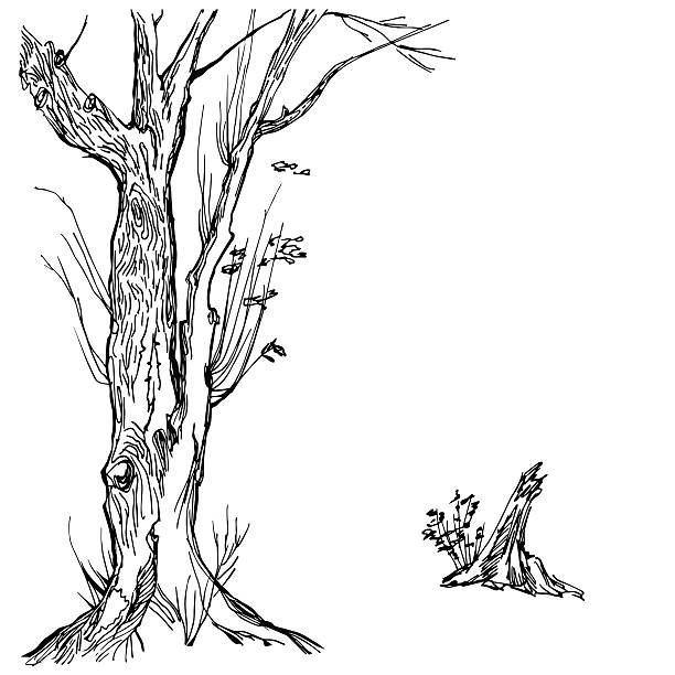 illustrations, cliparts, dessins animés et icônes de dessiné à la main et une souche d'arbre silhouette - poplar tree treetop forest tree