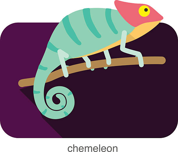 chameleon flat icon design. Animal icons series. chameleon flat icon design. Animal icons series. chameleon stock illustrations