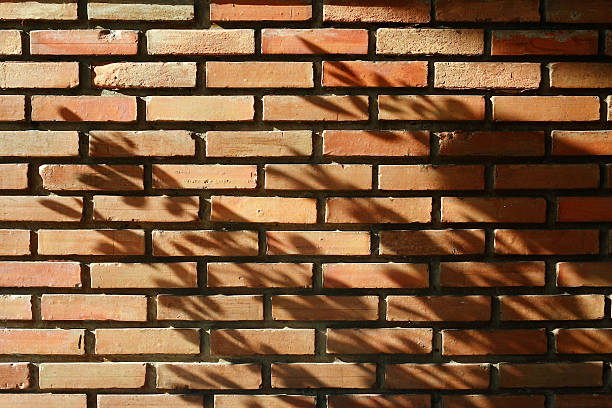 istock The sunshine and shadow of tree on brick wall 485284636