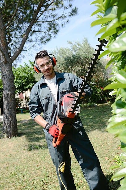 istock handsome young man gardener trimming hedgerow in a park outdoor 485284702