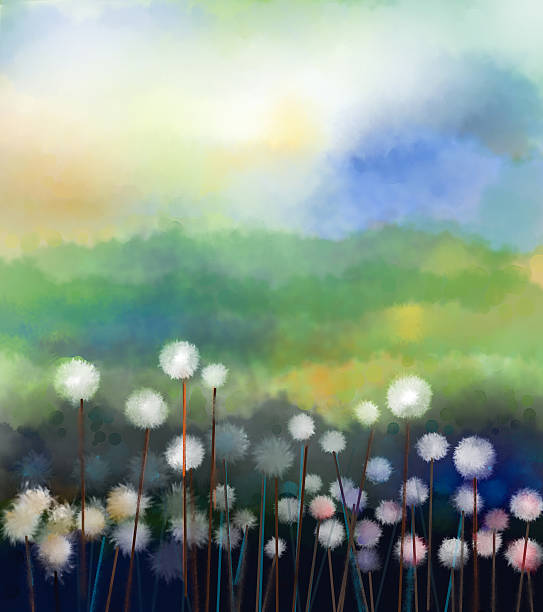 ilustrações, clipart, desenhos animados e ícones de abstrato pintura a óleo flores brancas em cores suaves campo - dandelion single flower flower white