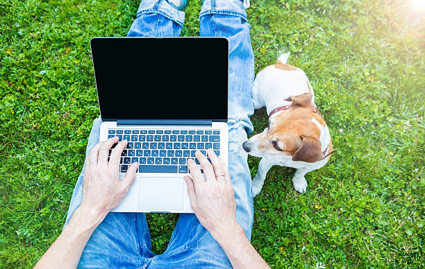 istock Man with laotop pc working putside with small dog 485285306