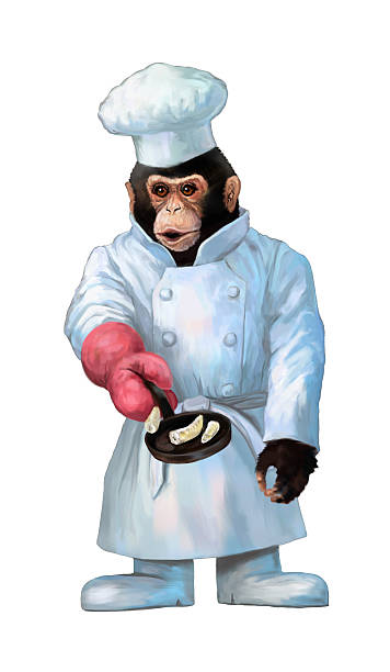 Cook's chimpancé cocineros banana por una sartén. - ilustración de arte vectorial