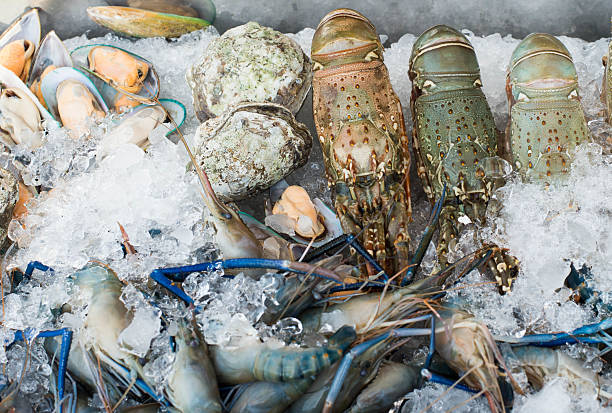 istock Seafood from the Sea 485286136