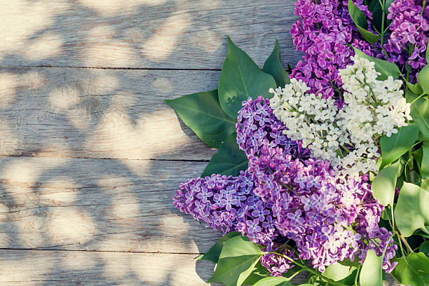 istock Colorful lilac flowers on garden table 485289328