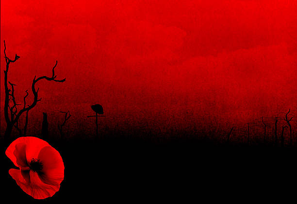 WW1 First World War Abstract Background with Poppy Abstract WW1, World War One or First World War battlefield centenary concept background with copy space and poppy. 1914 stock pictures, royalty-free photos & images