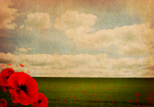 Grungy faded image of field and sky with poppies. 1914-1918 World War 1 remembrance concept.