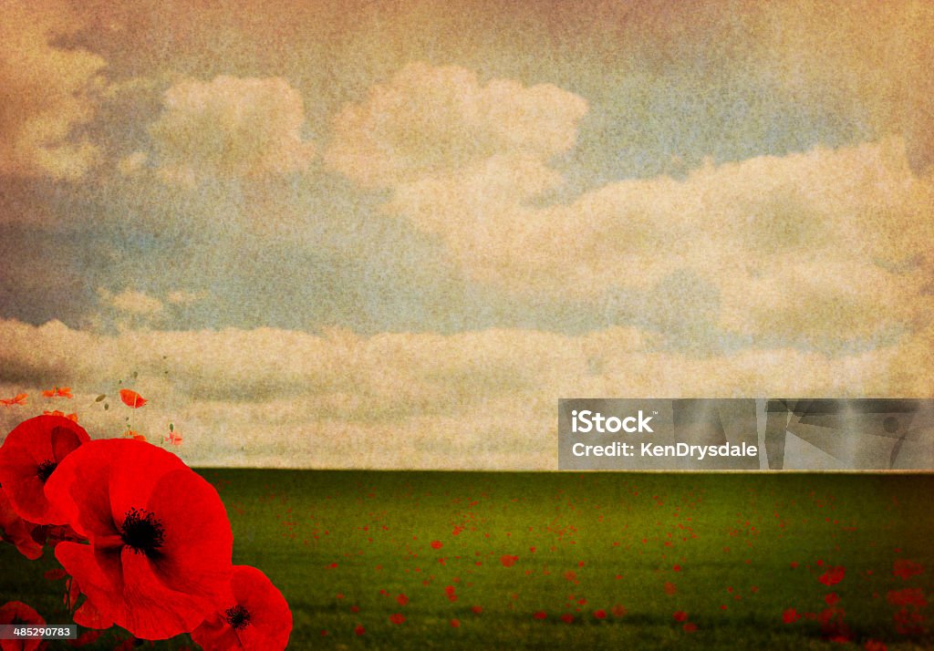 WW1 First World War Abstract Background with Poppies Grungy faded image of field and sky with poppies. 1914-1918 World War 1 remembrance concept. Remembrance Sunday Stock Photo