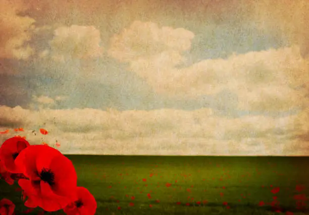 Photo of WW1 First World War Abstract Background with Poppies