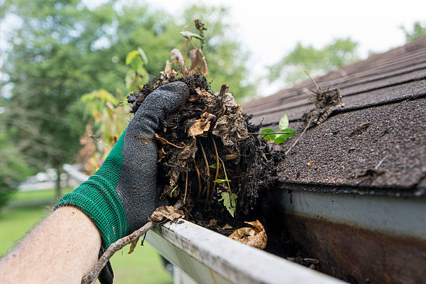 Cleaning Gutters During The Summer Cleaning gutters during the summer time. stick plant part photos stock pictures, royalty-free photos & images