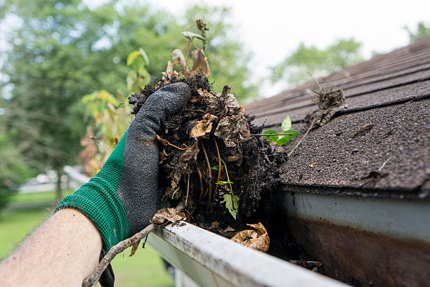 cleaning gutters during the summer - çatı oluğu stok fotoğraflar ve resimler