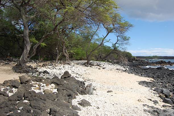 istock La Perouse Bay in Maui 485292731
