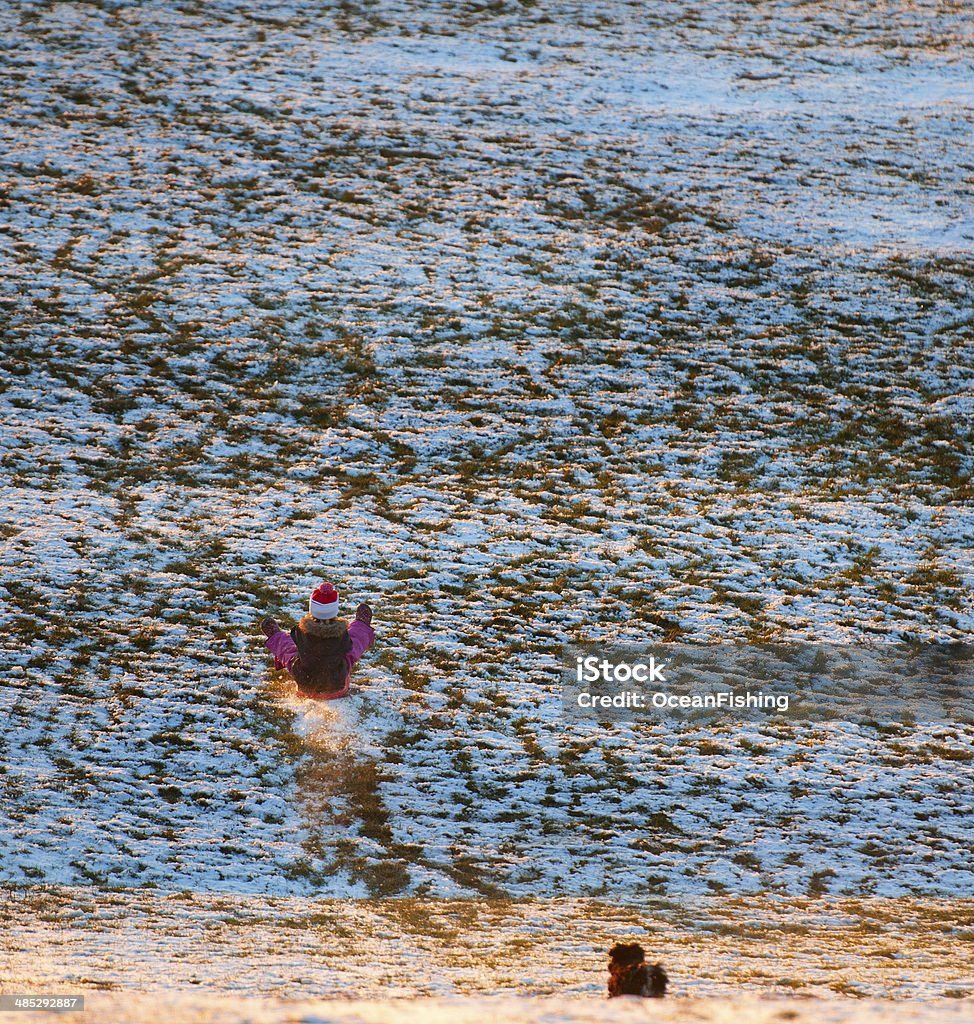 Tobogán en Mid-Air - Foto de stock de Actividad móvil general libre de derechos