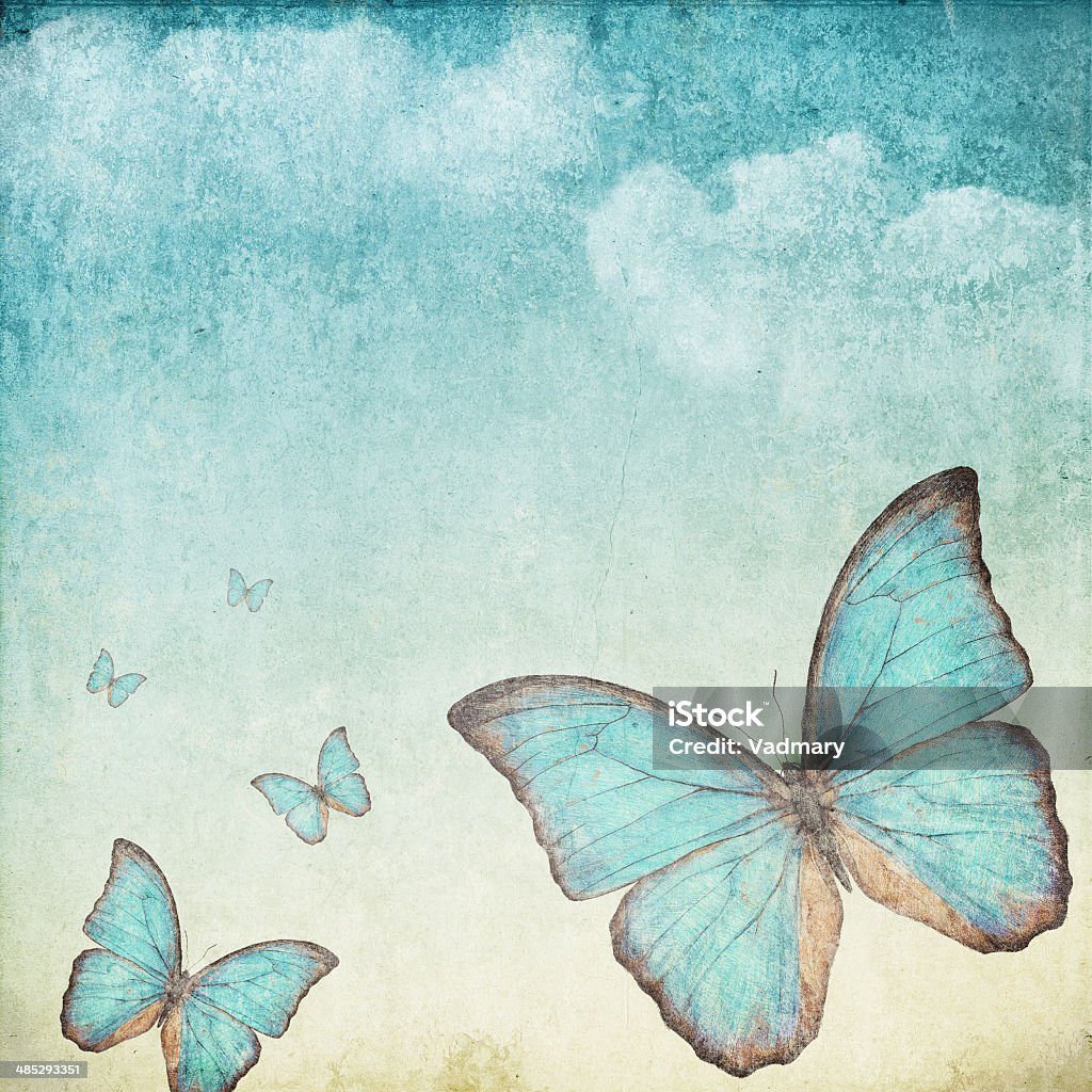 blue butterfly Vintage background with a blue butterfly Butterfly - Insect Stock Photo