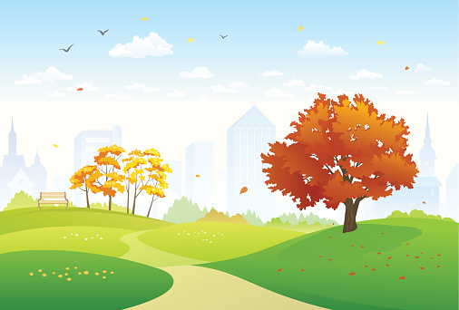 Vector illustration of a beautiful fall city park with bright foliage trees. RGB colors.