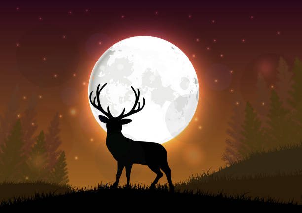 istock Silhouette of a deer standing on a hill at night 485294460