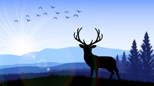 istock Silhouette of a deer standing on the time of morning 485294478