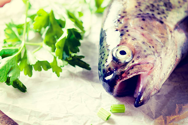 fish head - nutritian stock-fotos und bilder