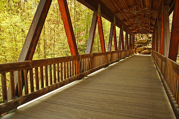 istock Old Mill Covered Bridge Roswell Georgia 485294641