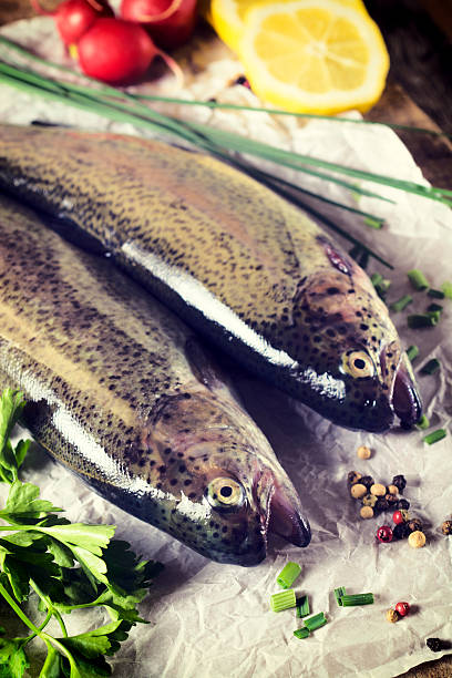 roher fisch - nutritian stock-fotos und bilder