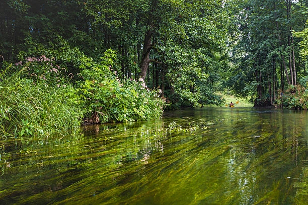 istock Kayaking on the Rospuda river, Poland 485295110