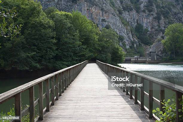 Foot Bridge Over A Lake Stock Photo - Download Image Now - 2015, Autumn, Beauty In Nature