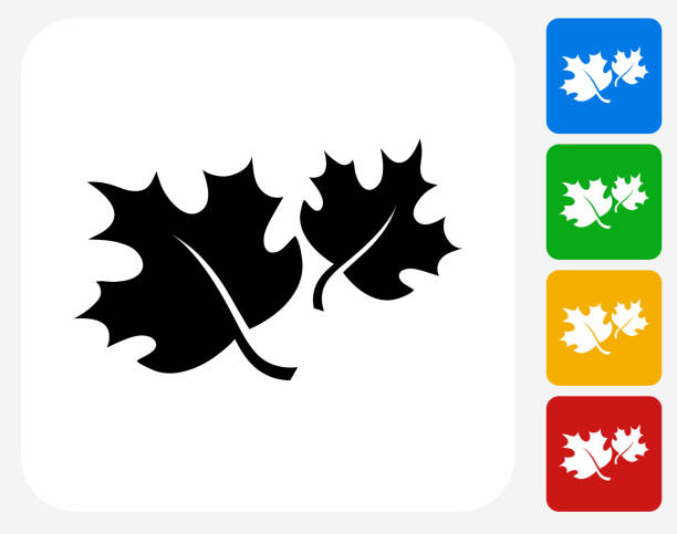 秋の紅葉のグラフィックデザインアイコンフラット - maple点のイラスト素材／クリップアート素材／マンガ素材／アイコン素材