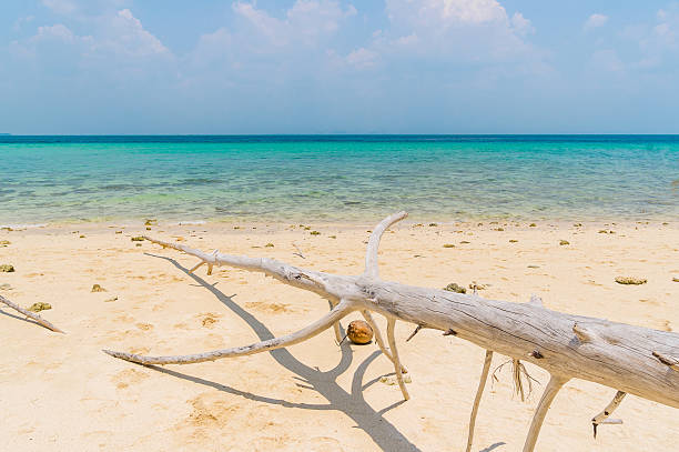 istock Beach in Krabi Thailand 485311045