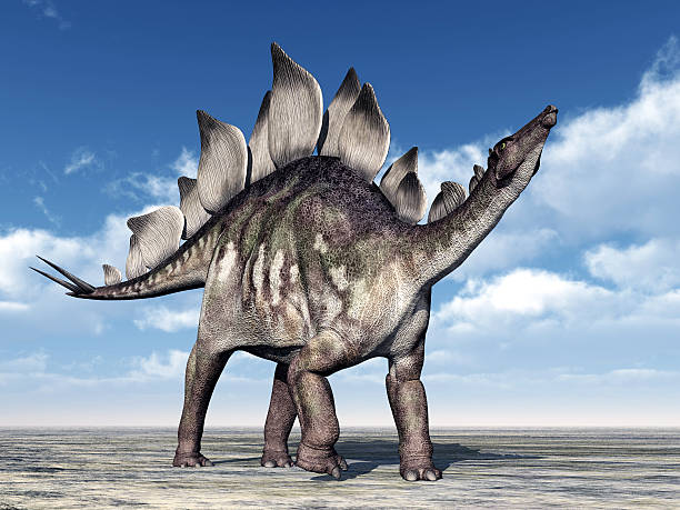 dinosauro stegosauro - stegosauro foto e immagini stock