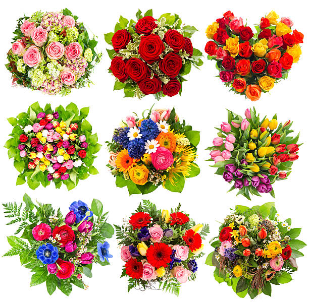 istock colorful flowers bouquet on white 485311535