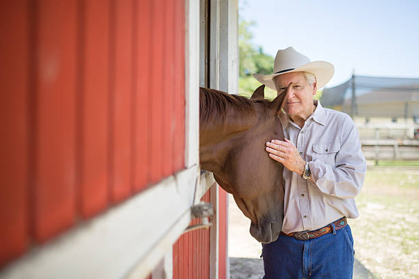istock Senior rancher and his horse 485311902