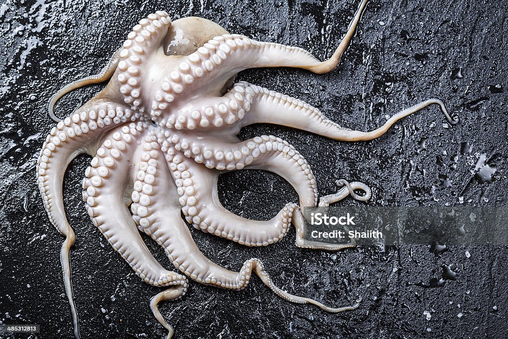 Freshly caught octopus on black rock Freshly caught octopus on black rock. Animal Stock Photo