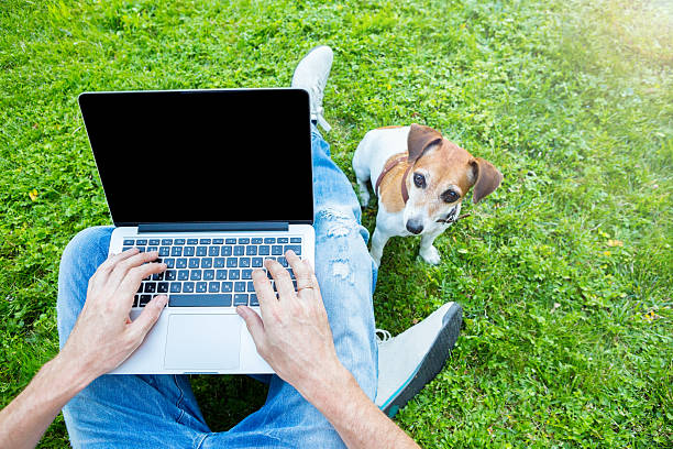 istock Man with dog and laptop 485314792