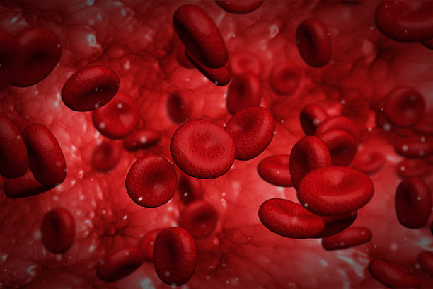 Red blood cells Computer generated graphic design of red blood cells flowing inside vessel red blood cell photos stock pictures, royalty-free photos & images