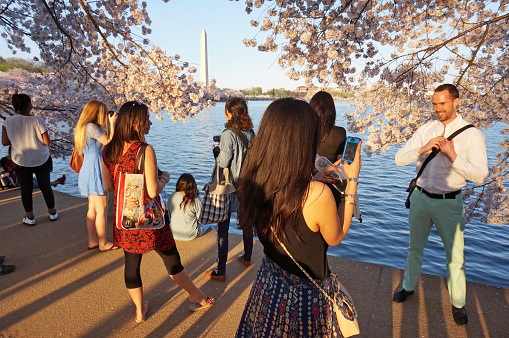 Washington DC, USA-April, 12, 2014:  These people enjoy taking photos of the sunset at the Tidal Basin in Washington DC with Cherry Blossoms in full bloom.  Spring is peak tourist season in Washington DC with many pretty flowers like Cherry Blossoms.