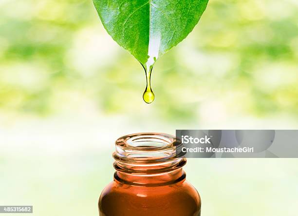 Ätherische Öle Von Blätter Fallen Aromatherapy Stockfoto und mehr Bilder von Duftöl - Duftöl, Erdöl, Natur