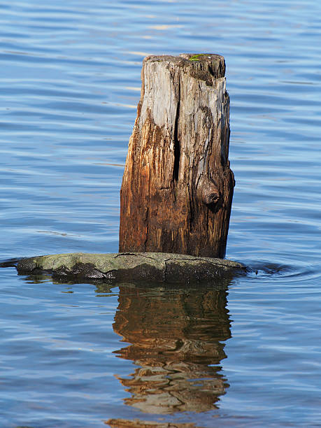 istock old pile on the lake 485316027