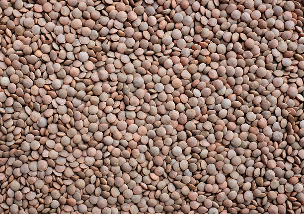 lentilhas fundo castanho - lentil full frame macro close up imagens e fotografias de stock