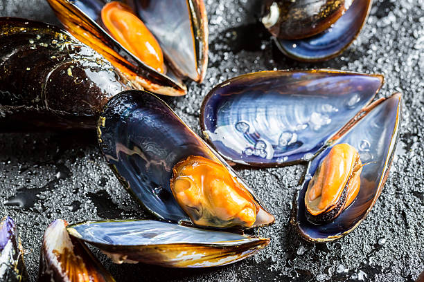 istock Closeup of freshly caught raw mussels 485316923