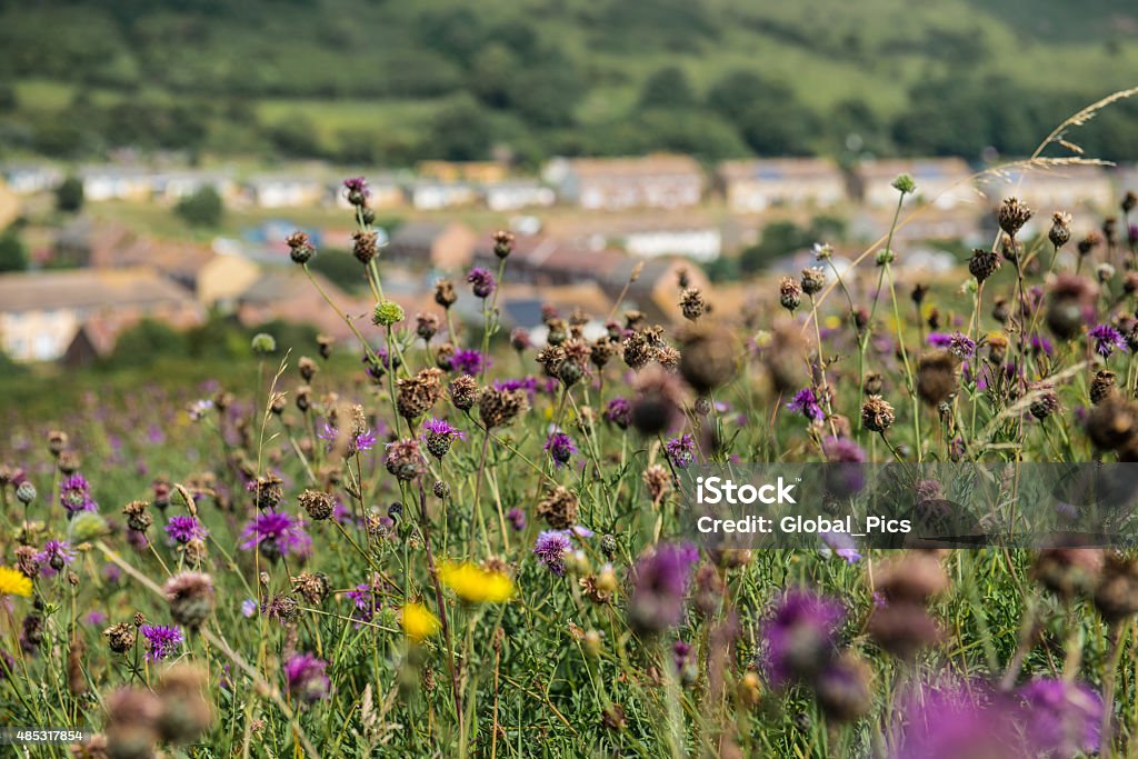 Dover, UK View of residences across from the White Cliffs of Dover, UK 2015 Stock Photo