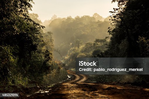 istock Dirt road in the jungle 485321014