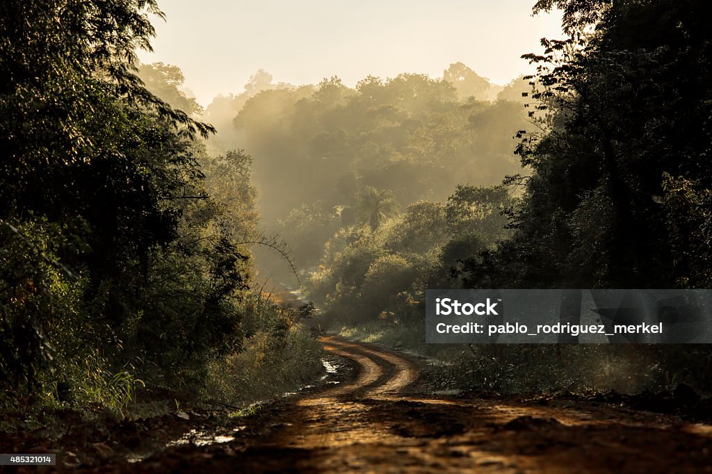 Dirt road in the jungle Dirt road in the tropical jungle, with morning mist Dirt Road Stock Photo