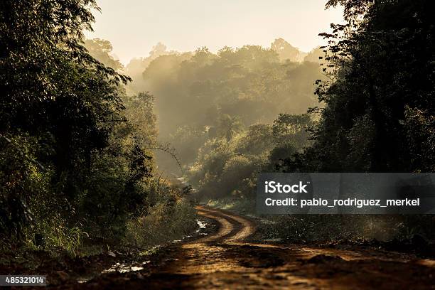 Dirt Road In The Jungle Stock Photo - Download Image Now - Dirt Road, Road, Off-Road Vehicle