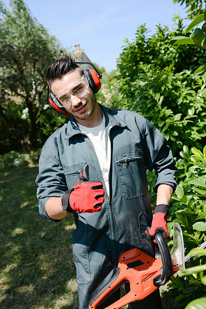 istock handsome young man gardener trimming hedgerow in a park outdoor 485326348